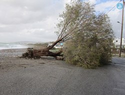 Σοβαρά προβλήματα αντιμετωπίζουν πολλές περιοχές της Ηπείρου